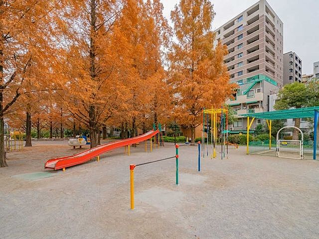 周辺 イニシア築地レジデンス 11階/-