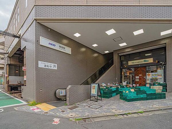 周辺