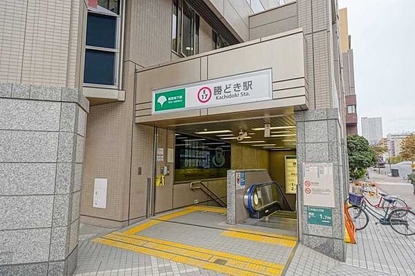 周辺を拡大表示