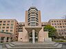 周辺： 聖路加国際大学 380m