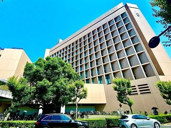 周辺を拡大表示
