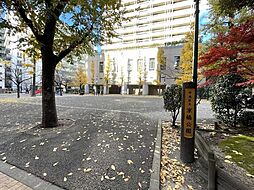 中央区立京橋公園 60m