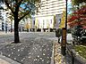 周辺：中央区立京橋公園 60m