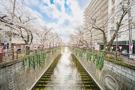  目黒川 90...