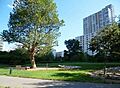 有栖川記念公園...
