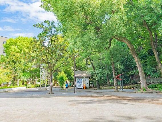 中根公園 14...