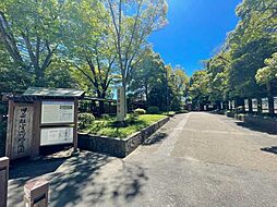 旧芝離宮恩賜庭園 410m