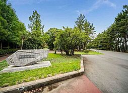 東雲水辺公園 270m