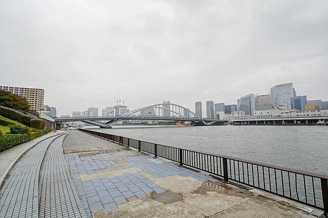 周辺 勝どきザ・タワー 23階/-