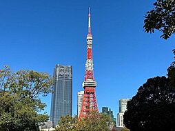 東京タワー 1250m