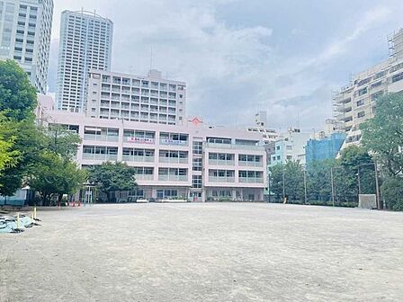 区立花園小学校 310m