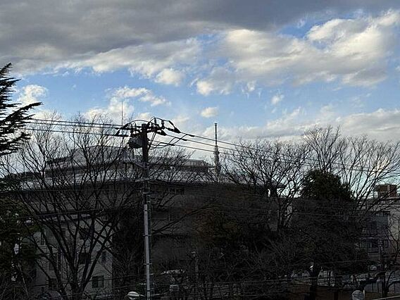 スカイツリーを...
