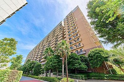 外観 外観