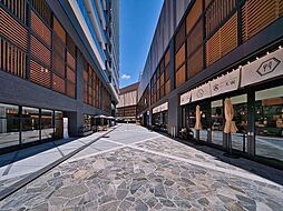 カメクロ横丁 40m