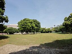 有明テニスの森公園 1000m