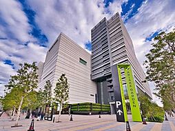 有明ガーデン 50m