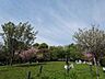 周辺：西郷山公園 1000m