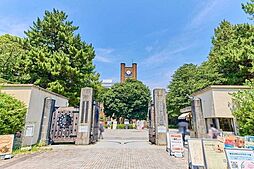 東京大学　駒場キャンパス 260m