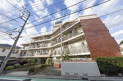 外観 外観