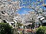 周辺：北沢川緑道 330m