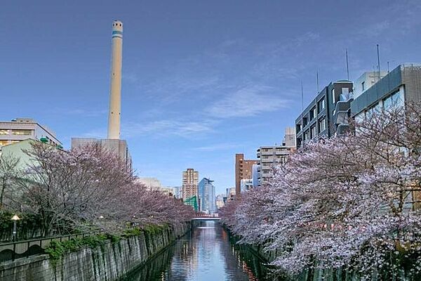 周辺を拡大表示
