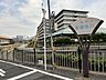 周辺：善福寺川 400m