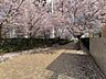 周辺：ひばりが丘桜の道公園 150m