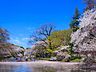 周辺：井の頭恩賜公園 900m