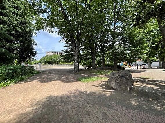 矢川上公園 8...