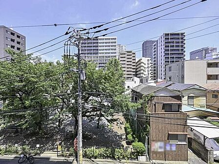 眼前に公園の緑が広がる開放的な眺望