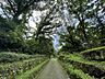 周辺：都立小山田緑地 240m