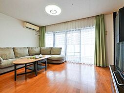 タイムズ・ピース・スクエアスイートガーデンシティ