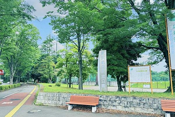 周辺を拡大表示