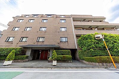 外観 外観