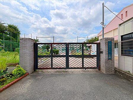 中野区立白桜小学校まで100m