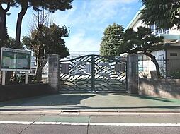 世田谷区立等々力小学校まで450m