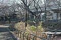 玉川上水永泉寺...