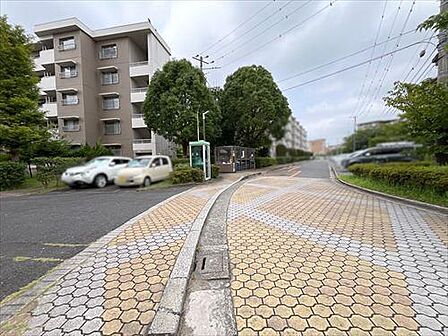 前面道路(2026年7月撮影)