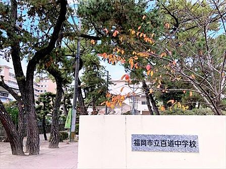 百道中学校(1150m)