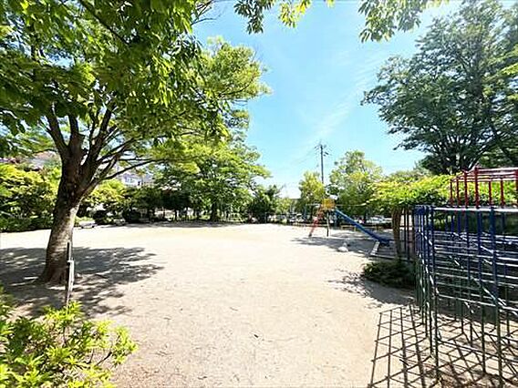 真清水公園（6...