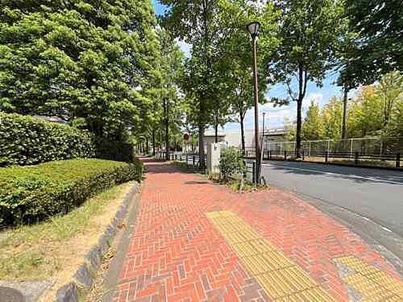 【現地前面道路...