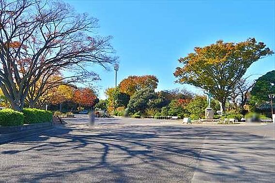 三ツ沢公園まで...