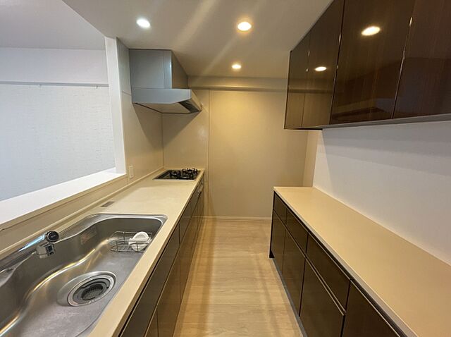 キッチン ウエリス浦和美園サウステラス 2階/-