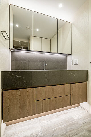 洗面 三田ガーデンヒルズパークマンション棟 4階/-