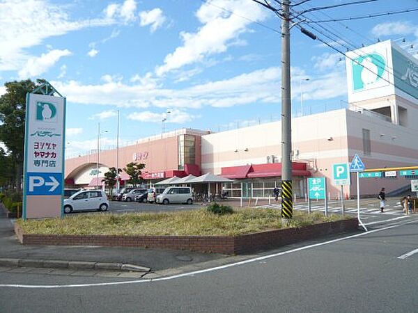 画像28:【スーパー】ヤマナカ　パディー店まで507ｍ