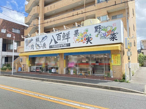 画像25:【スーパー】生鮮食材専門店　八百鮮　川原通店まで540ｍ