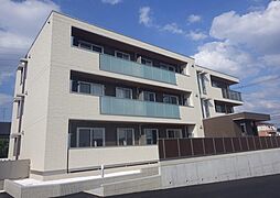 oazo Y