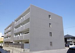 はなみずき