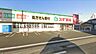 周辺：ドラックストア　スギ薬局浜松海老塚店（ドラッグストア）まで403m