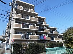 アンピール第2高木